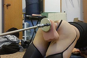 Canine Intercourse Gadget Giant Dildo Pt3